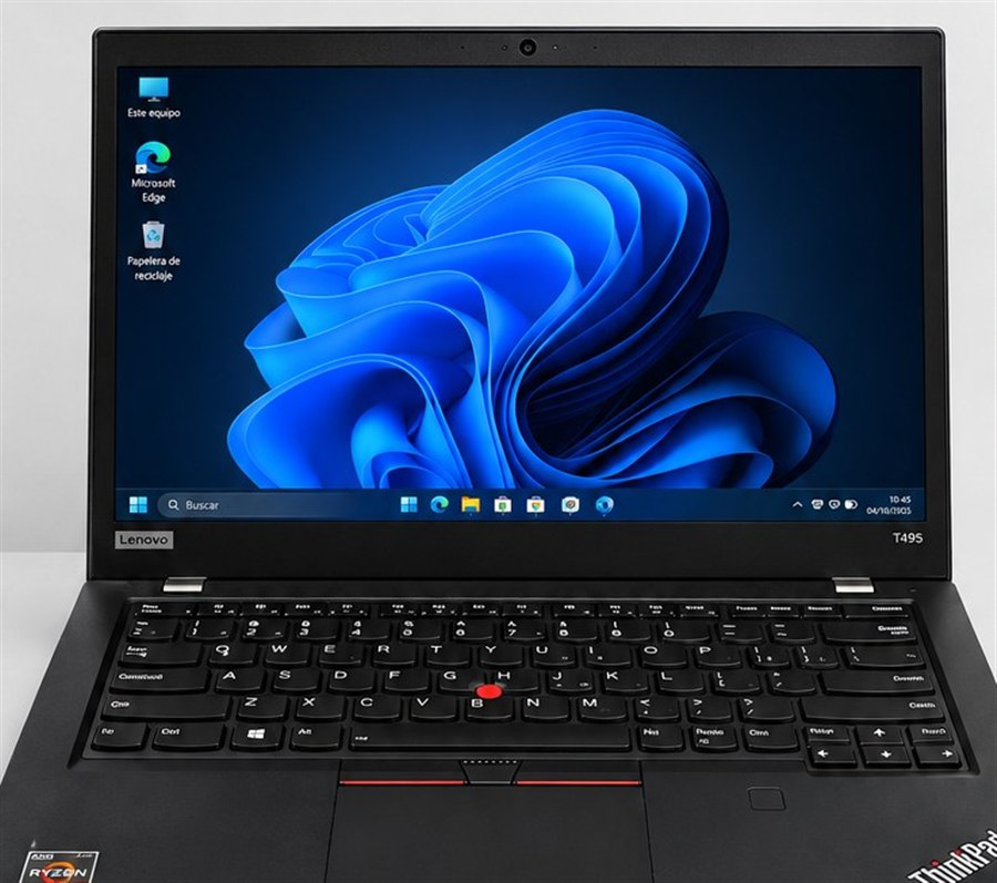 ThinkPad T495